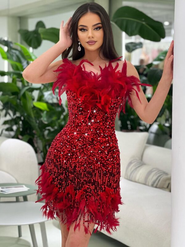 Rochie roșie decorată cu pene